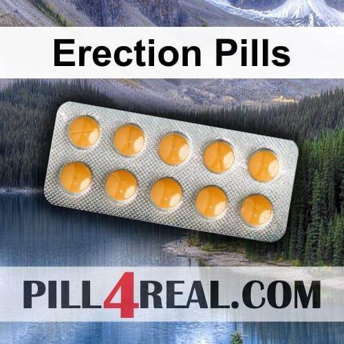 Erection Pills 256