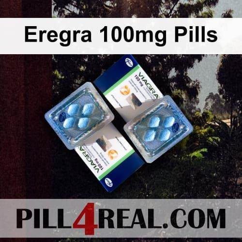Eregra 100mg Pills 819
