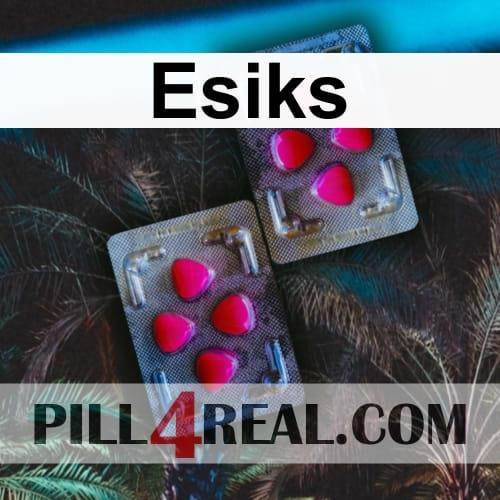 Esiks 813