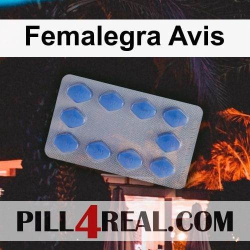 Femalegra Avis 053