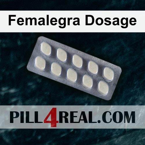 Femalegra Dosage 090