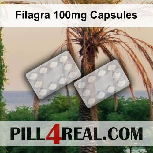 Filagra 100mg Capsules 427