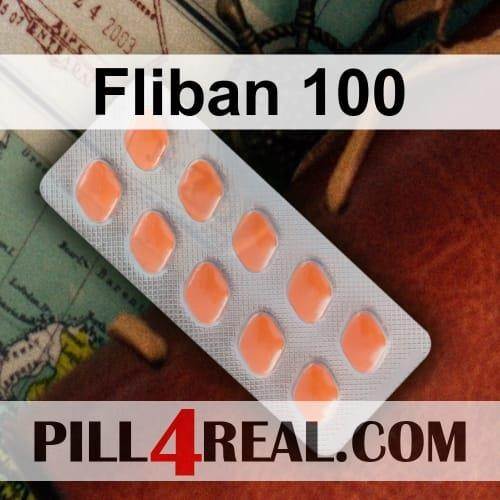 Fliban 100 869