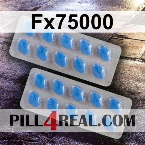 Fx75000 091