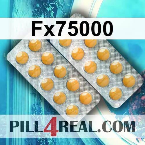 Fx75000 508