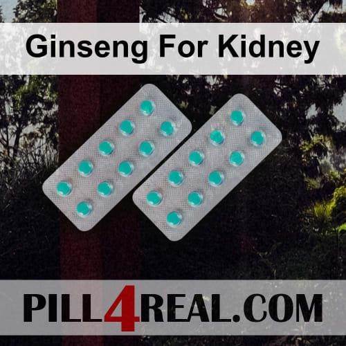 Ginseng For Kidney 539