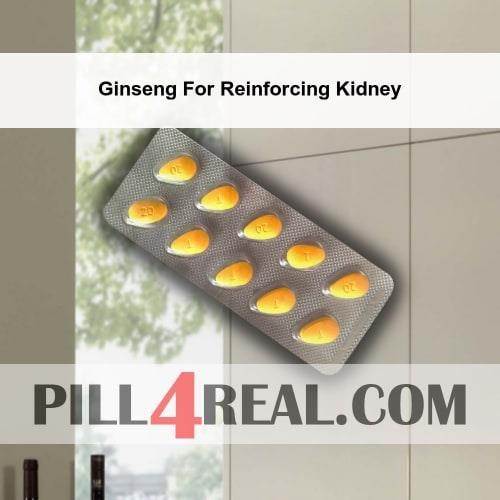 Ginseng For Reinforcing Kidney 107