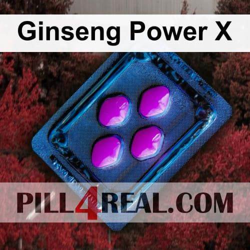 Ginseng Power X 176