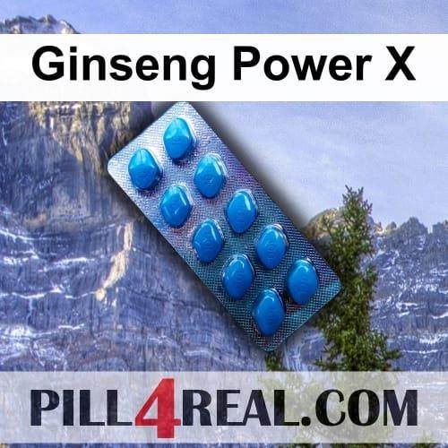Ginseng Power X 237