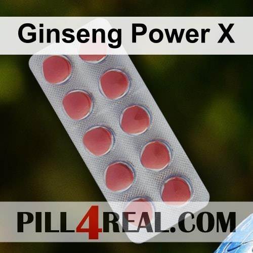 Ginseng Power X 623