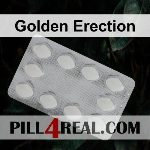 Golden Erection 034