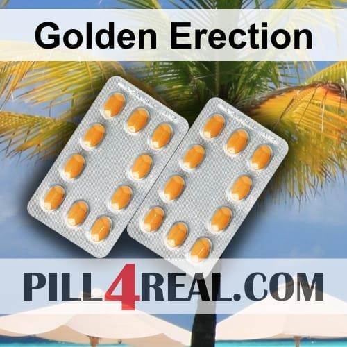 Golden Erection 500