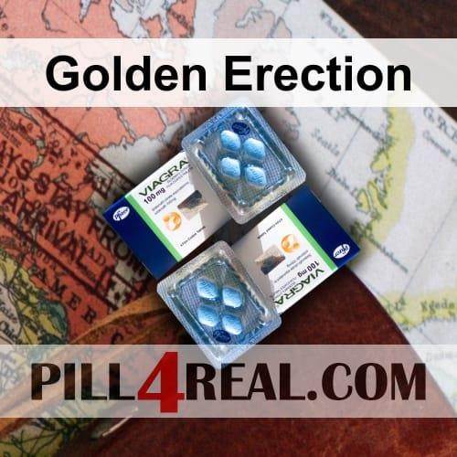 Golden Erection 558
