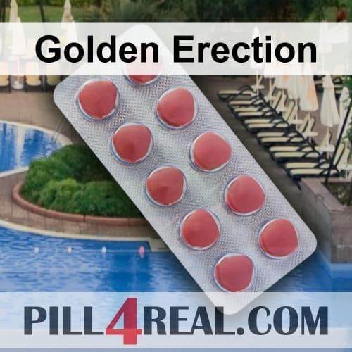Golden Erection 981