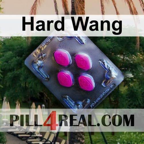 Hard Wang 015
