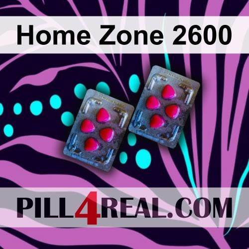 Home Zone 2600 595