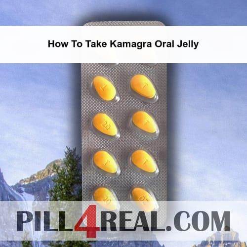 How To Take Kamagra Oral Jelly 192