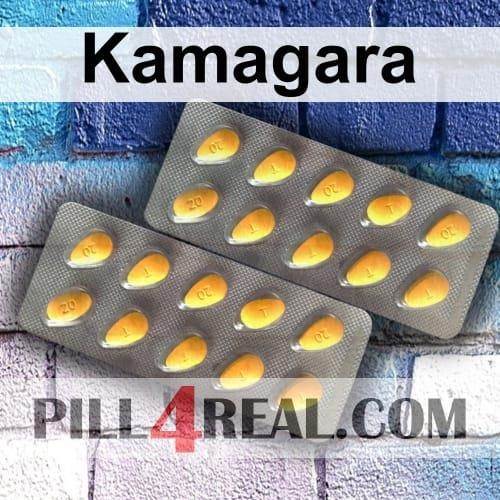 Kamagara 206