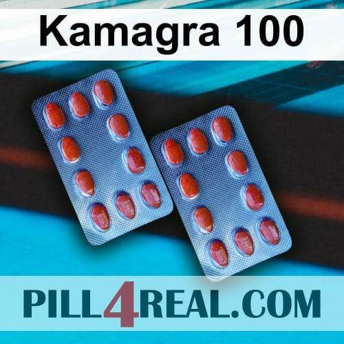 Kamagra 100 427