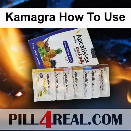 Kamagra_How_To_Use_564.jpg