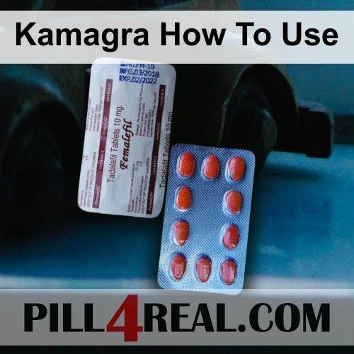 Kamagra_How_To_Use_904.jpg