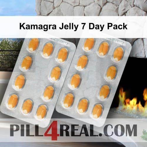 Kamagra Jelly 7 Day Pack 012