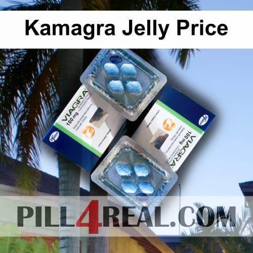 Kamagra Jelly Price 402