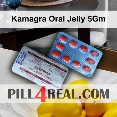 Kamagra Oral Jelly 5Gm 390