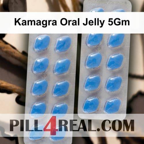 Kamagra Oral Jelly 5Gm 926