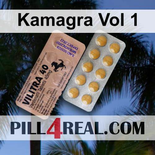 Kamagra Vol 1 306