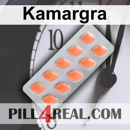 Kamargra_308.jpg