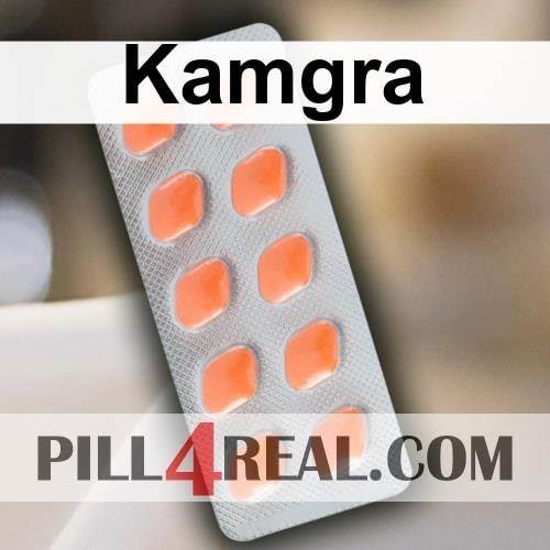 Kamgra 700