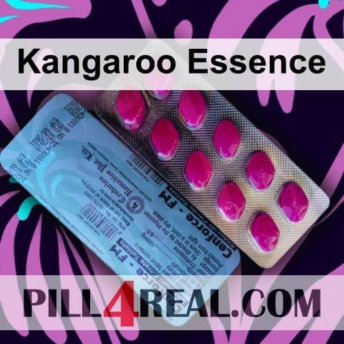 Kangaroo Essence 717