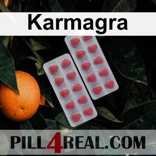 Karmagra 283