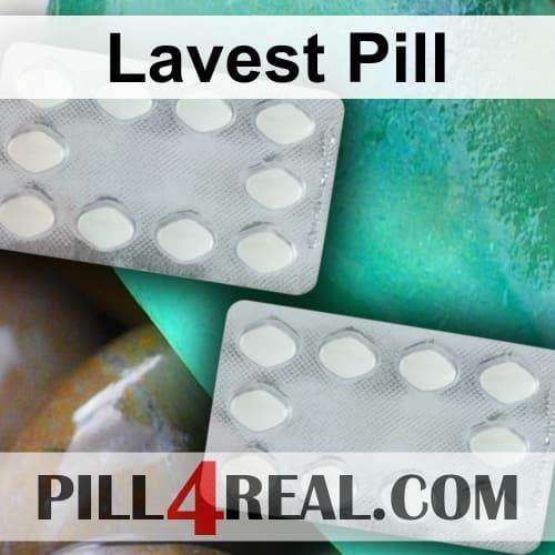 Lavest Pill 065