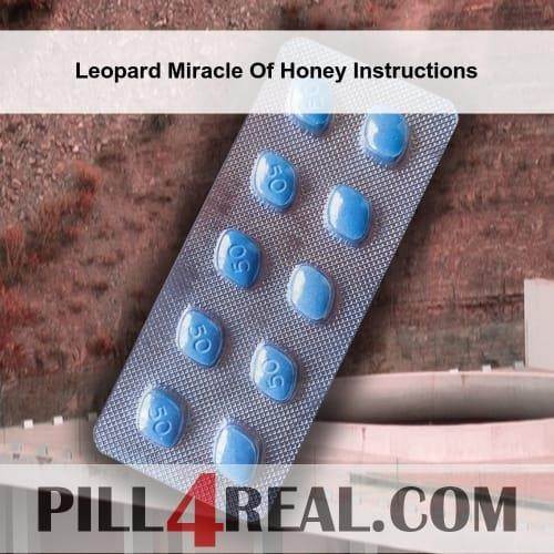 Leopard Miracle Of Honey Instructions 091