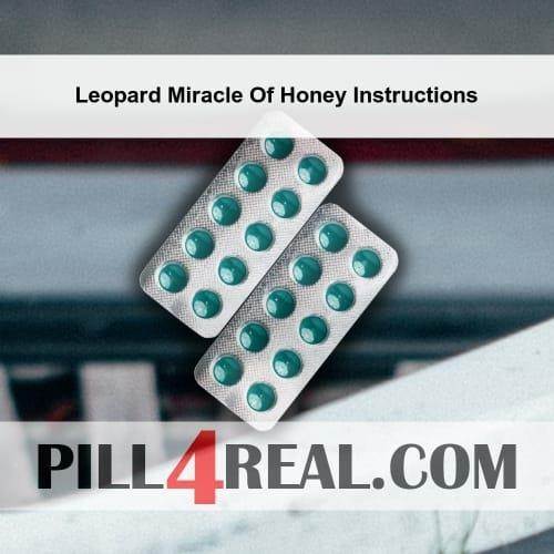 Leopard Miracle Of Honey Instructions 644