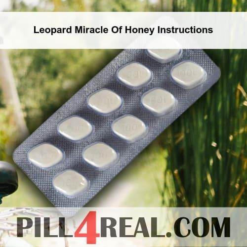 Leopard_Miracle_Of_Honey_Instructions_836.jpg