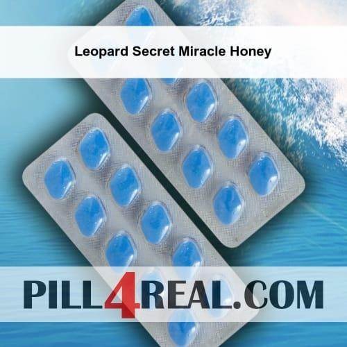 Leopard Secret Miracle Honey 679