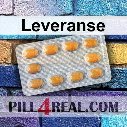 Leveranse 313