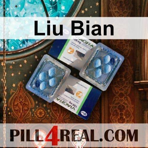Liu Bian 202