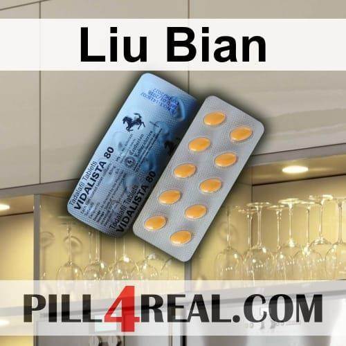 Liu Bian 473