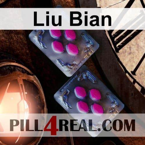 Liu Bian 492