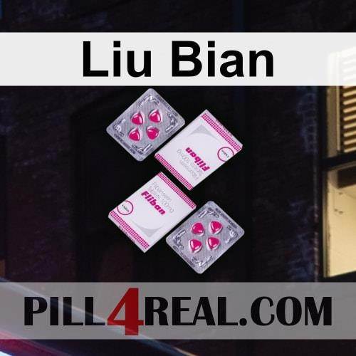 Liu Bian 970