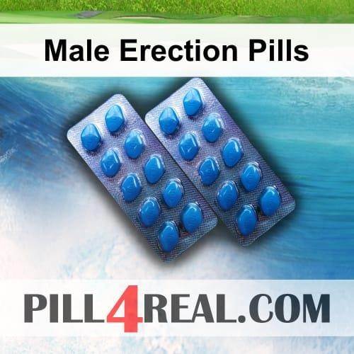 Male_Erection_Pills_667.jpg