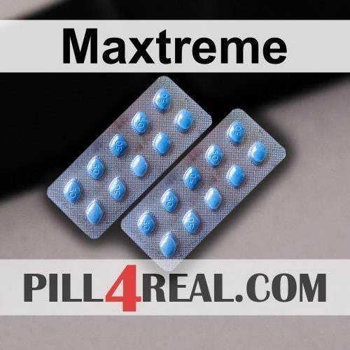 Maxtreme 336