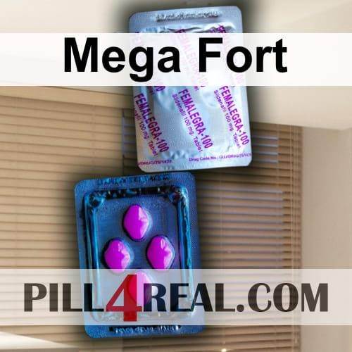Mega Fort 076