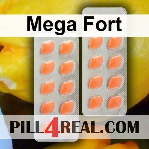 Mega Fort 920