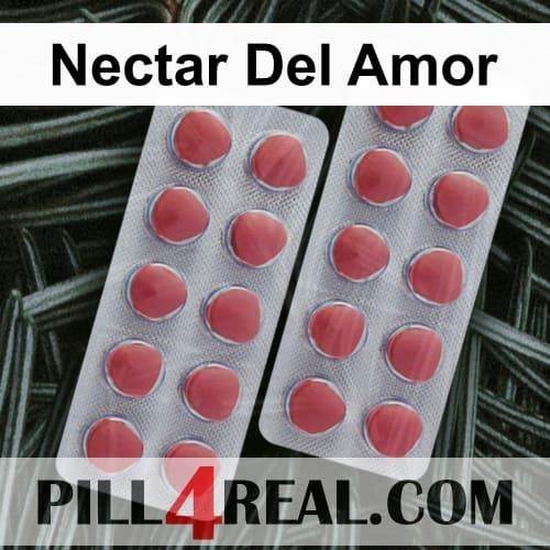 Nectar Del Amor 241