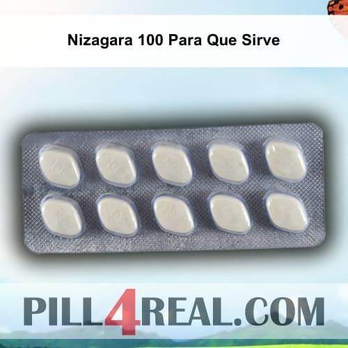 Nizagara 100 Para Que Sirve 451